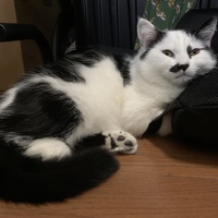 ミオ