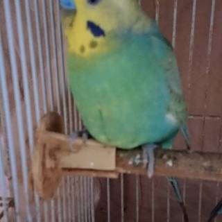 応募頂きありがとうございましたm(_ _)m