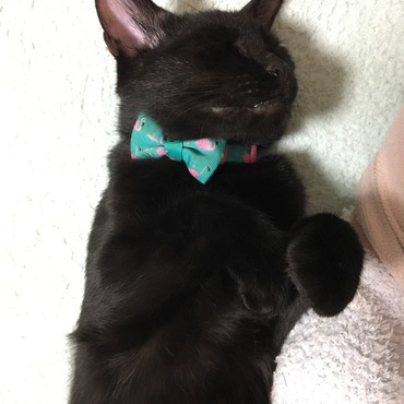 かわいい寝相❤︎