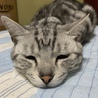 まるいたんさん