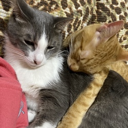 あっちゃん、大好き〜！