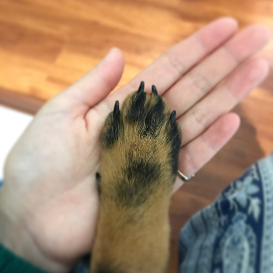 Rockのカバー写真