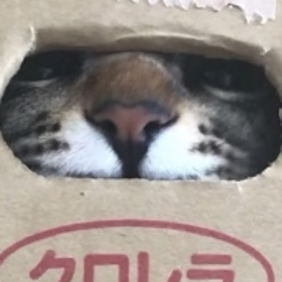 るるのカバー写真