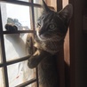 それだけはやめて