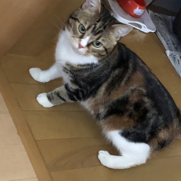 ヤバ、みつかった‼︎ …10秒散歩