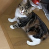 ヤバ、みつかった‼︎ …10秒散歩