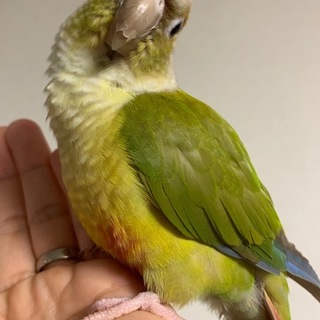 沢山のご応募ありがとうございました！