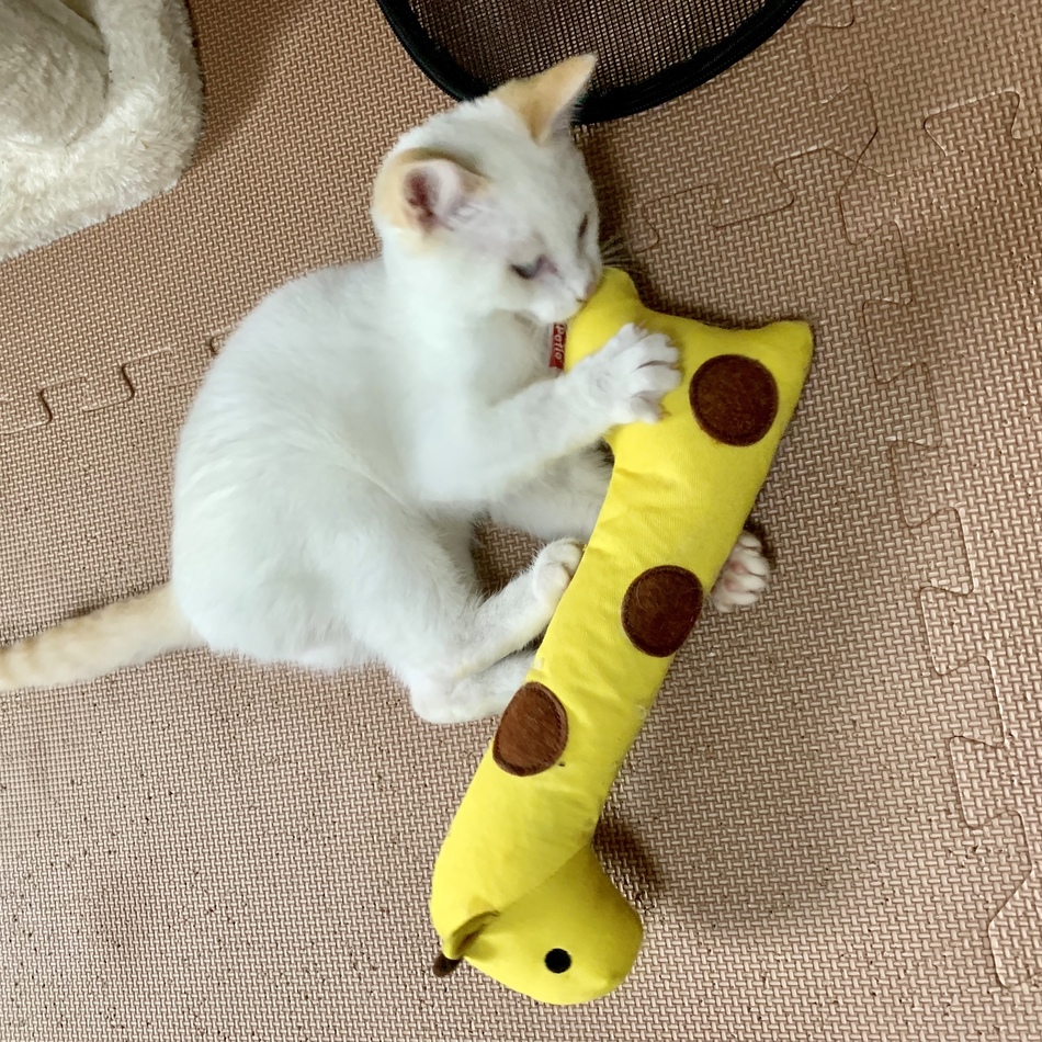 さん（仮名）のカバー写真