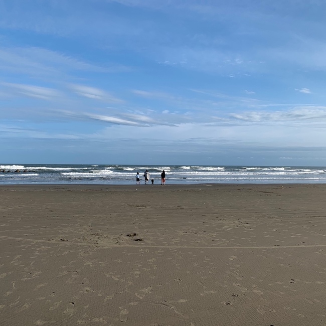 花詩のカバー写真