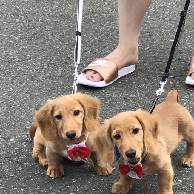 おひょんのカバー写真
