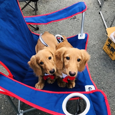 お肉はあげれないけれど、一緒にBBQ楽しかったね♪。.:＊・゜♪。.:＊・゜♪