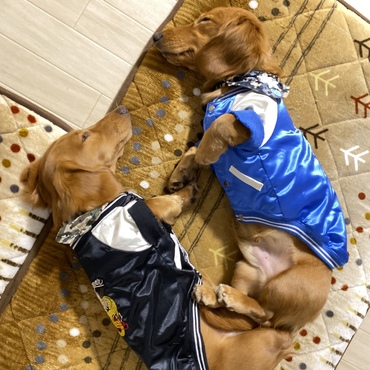 さすが兄弟！鏡だね(*´艸`)