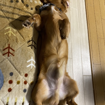 開放的すぎな寝相のやまと君