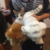 の写真