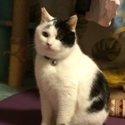 「はじめました、ペットのおうち！（初投稿）」サムネイル3