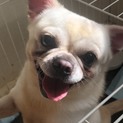 急募です。