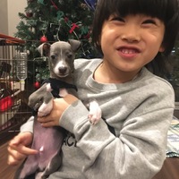 ピーター