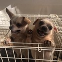 急募です。