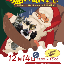 猫の譲渡会at北山集会所 サムネイル1