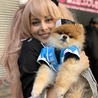 この前イベントでファンのワンチャンを渡されました(笑)。可愛くてワンチャンもコスプレしてるらしいです。