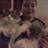 弟とMEOくん！！道から拾った猫ちゃん。凄くイケメンっすね！
