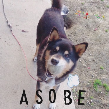 圧を感じます、、笑