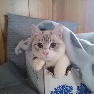 甘えん坊の可愛い男の子です