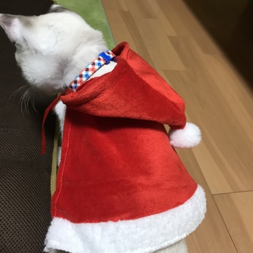 クリスマス