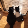 2人は仲良し
