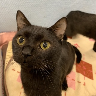 <サバイバーズ>明るく懐こい健太郎くん