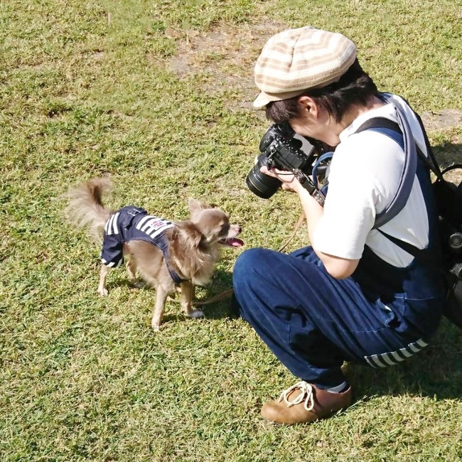 藤霞のカバー写真