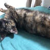 の写真