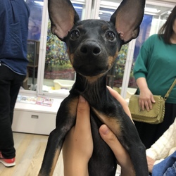 はじめまして！