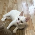 ありがとうございます