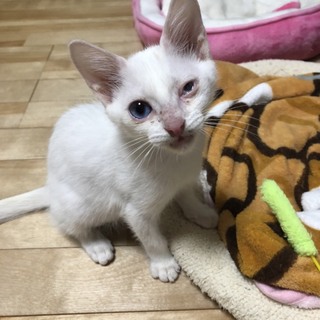 元気いっぱい！ゆうまくん❣