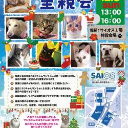 入間ショッピングプラザサイオス犬猫里親会