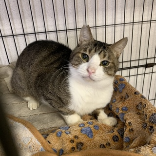 <サバイバーズ>えい作くん