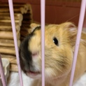 応募ありがとうございました！