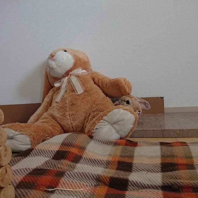 nenenomamaのカバー写真