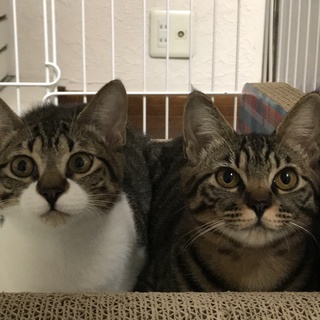 仲良し姉妹❣️