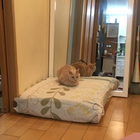 まり