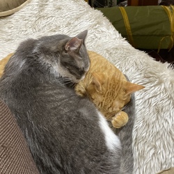 いつもいっしょ♪