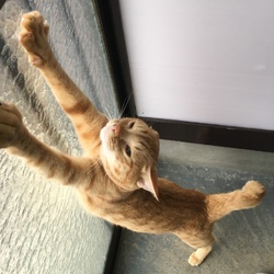 ボクも行きたい！