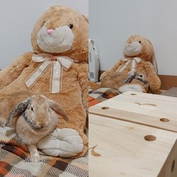 ムーミンの部屋