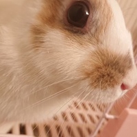 ミルク