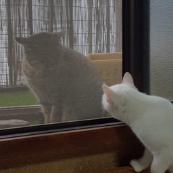 「見送る叔父ちゃん。」サムネイル2