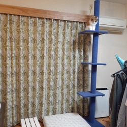 キャットタワー