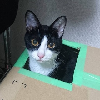 甘えん坊すずちゃん