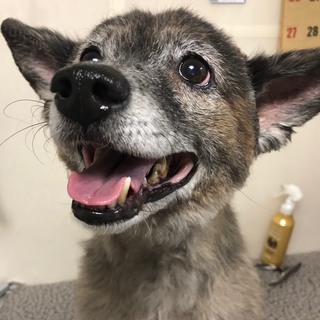 甘えたエカちゃん