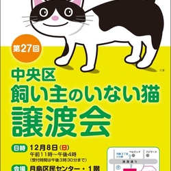 中央区 飼い主のいない猫 譲渡会